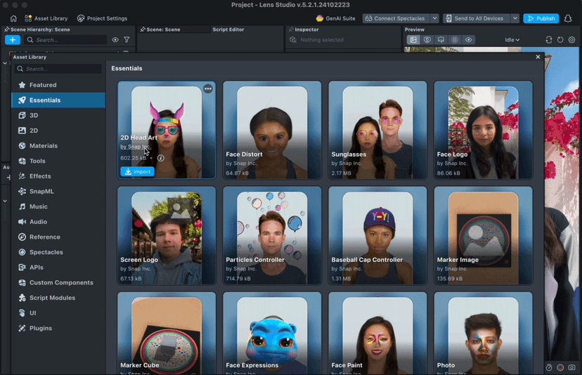 Asset Library Overview