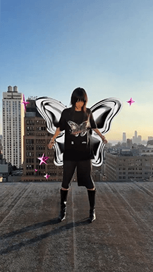 Chrome Butterfly