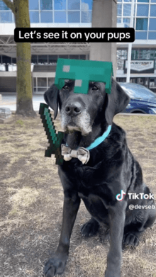 Minecraft Dog