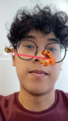 Minecraft Frog Challenge
