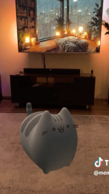 PUSHEEN CAT AR
