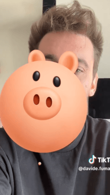 One Circle Pig